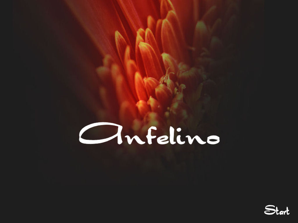 Bilderlink zur Startseite